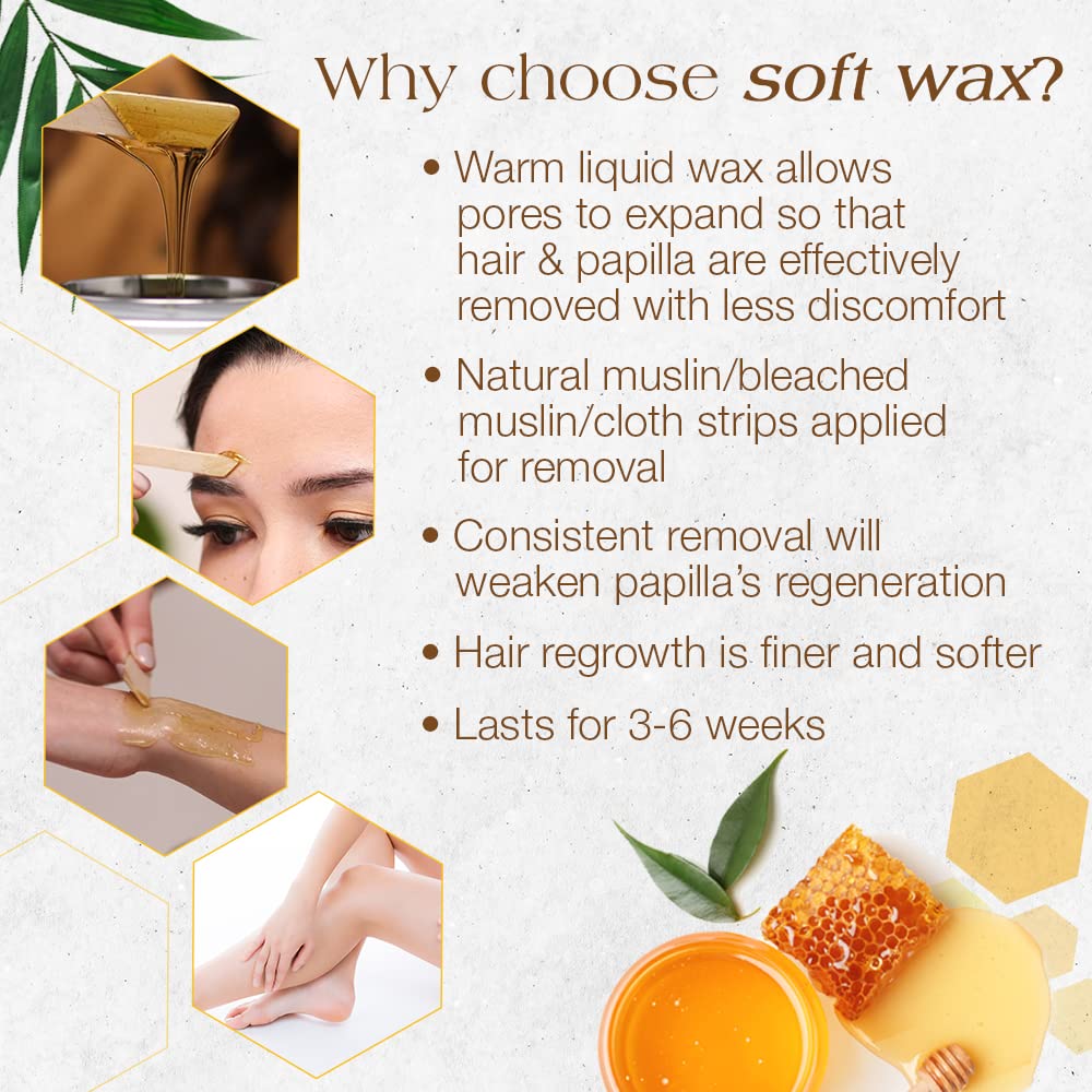 GiGi All Purpose Honee Hair Removal Soft Wax - All Skin and Hair Types - 14 oz - NailSupply.com
