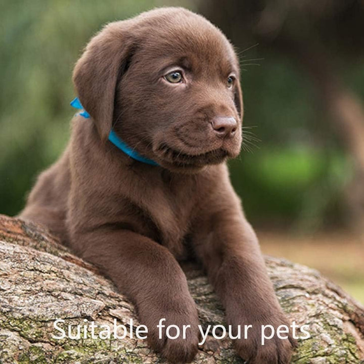 Nail File 100/180 Grit Emery Board Filer for Acrylic and Natural Fingernail - 57 Pack - NailSupply.com